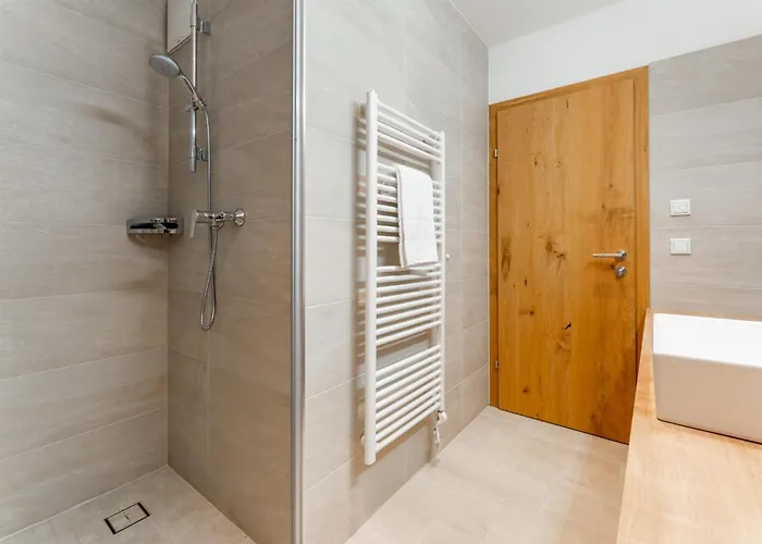 Appartement Residenz Wildkogelbahn 4 *