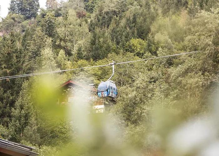 Appartement Residenz Wildkogelbahn 4